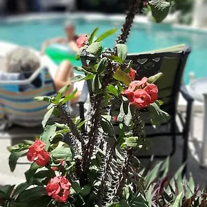  Apartamento Doña Licha. P/4 Pers. A 50 M Del Mar. México