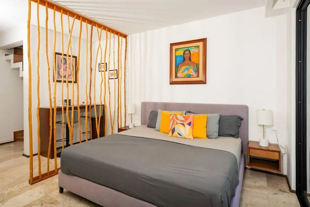 Penthouse Con Alberca Privada Apartment Playa del Carmen Mexico